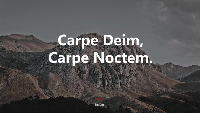 Carpe Deim, Carpe Noctem. | Dean Koontz quote