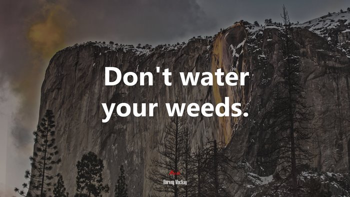 Don’t water your weeds. | Harvey MacKay quote