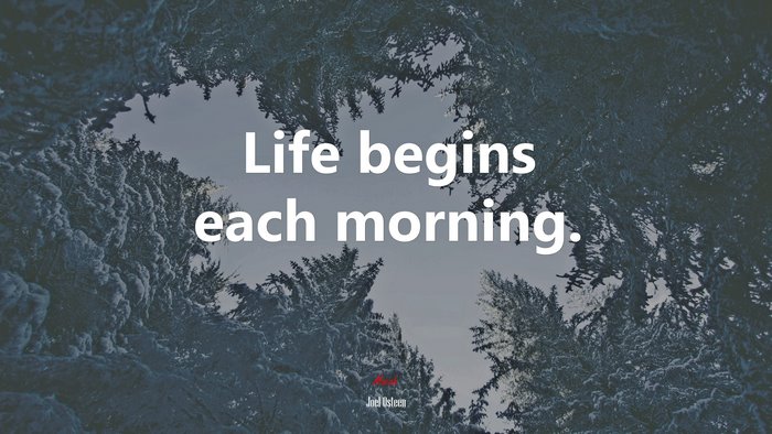 Life begins each morning. | Joel Osteen quote