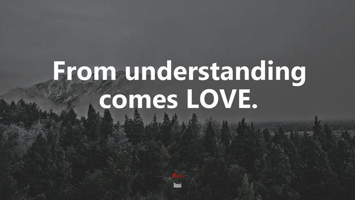 From understanding comes LOVE. | Rumi quote