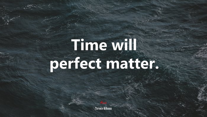 Time will perfect matter. | Terence McKenna quote