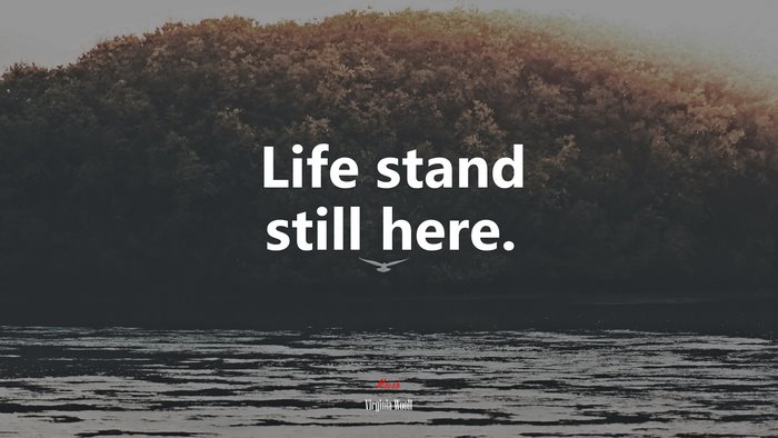 Life stand still here. | Virginia Woolf quote