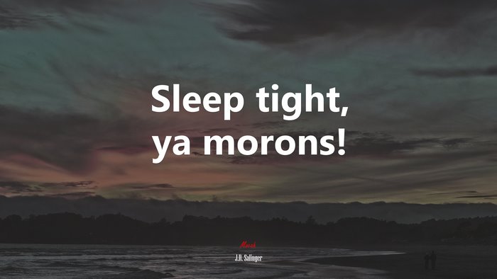 Sleep tight, ya morons! | J.D. Salinger quote
