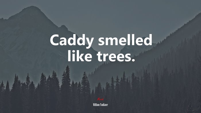 Caddy smelled like trees. | William Faulkner quote