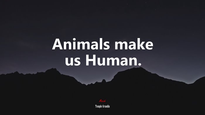 Animals make us Human. | Temple Grandin quote