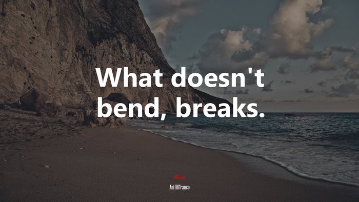 What doesn’t bend, breaks. | Ani DiFranco quote