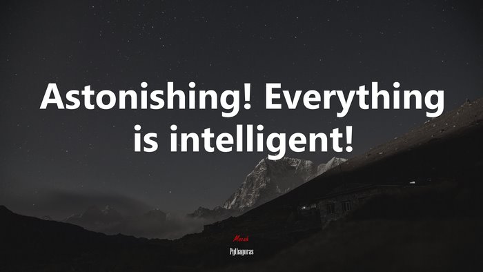 Astonishing! Everything is intelligent! | Pythagoras quote