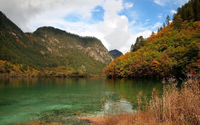 Autumn forest and lake in mountains