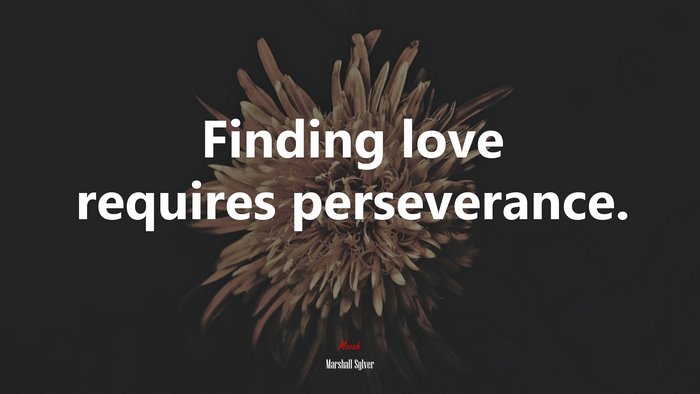 Finding love requires perseverance. | Marshall Sylver quote