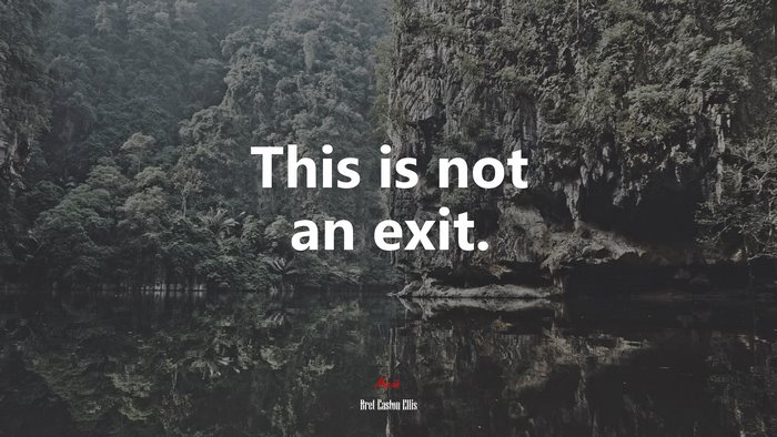 This is not an exit. | Bret Easton Ellis quote
