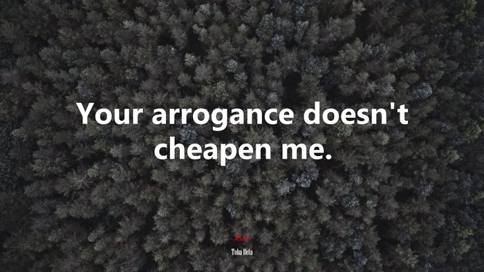 Your arrogance doesn’t cheapen me. | Toba Beta quote