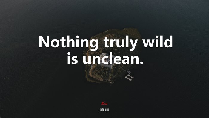 Nothing truly wild is unclean. | John Muir quote