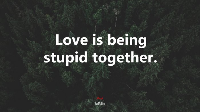 Love is being stupid together. | Paul Valéry quote