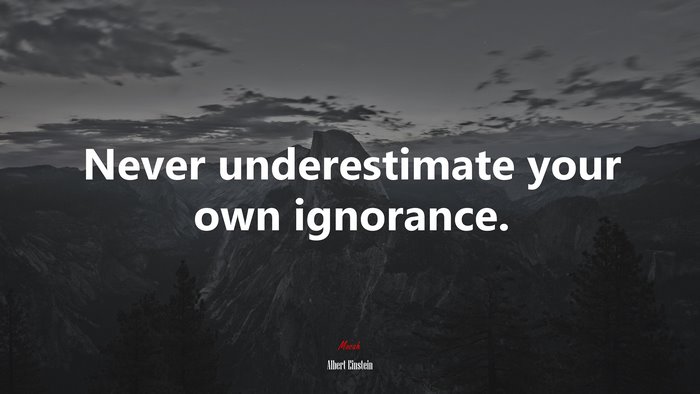 Never underestimate your own ignorance. | Albert Einstein quote