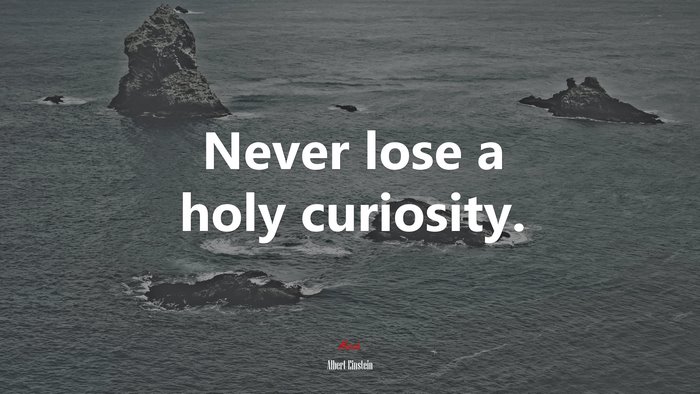 Never lose a holy curiosity. | Albert Einstein quote