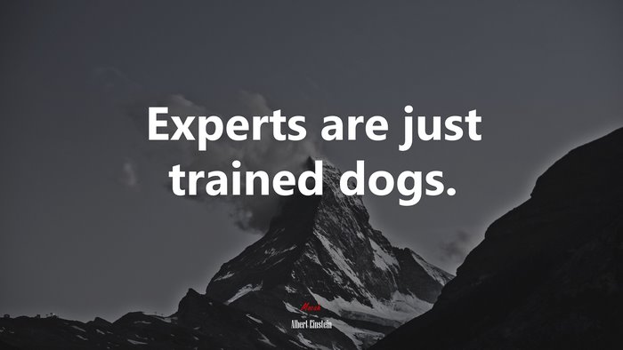 Experts are just trained dogs. | Albert Einstein quote