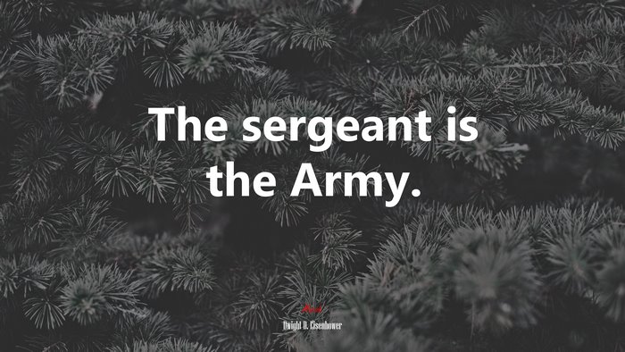 The sergeant is the Army. | Dwight D. Eisenhower quote