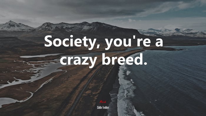 Society, you’re a crazy breed. | Eddie Vedder quote