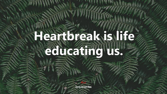 Heartbreak is life educating us. | George Bernard Shaw quote