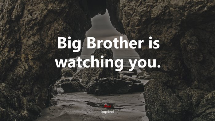 Big Brother is watching you. | George Orwell quote