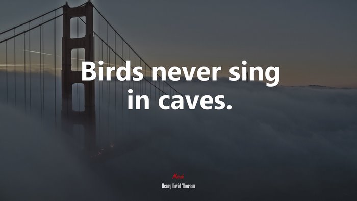 Birds never sing in caves. | Henry David Thoreau quote