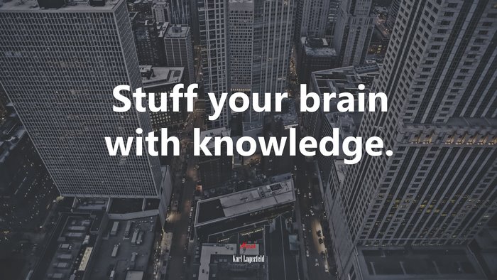Stuff your brain with knowledge. | Karl Lagerfeld quote