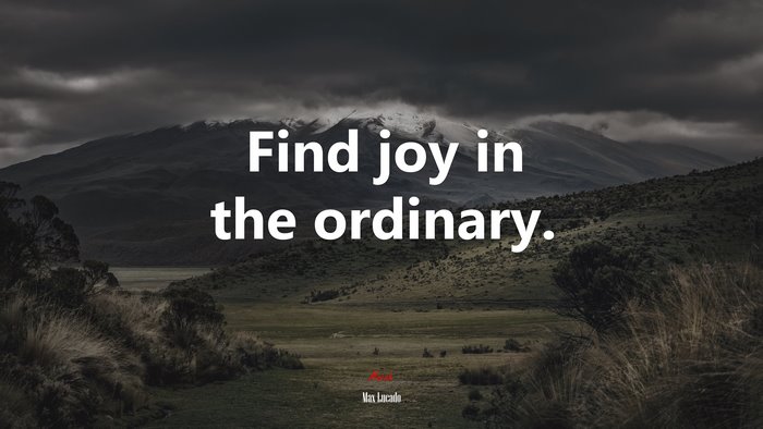 Find joy in the ordinary. | Max Lucado quote