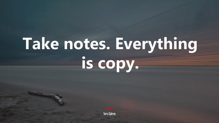Take notes. Everything is copy. | Nora Ephron quote