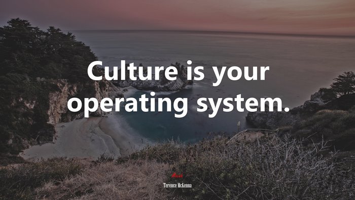 Culture is your operating system. | Terence McKenna quote