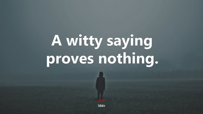 A witty saying proves nothing. | Voltaire quote