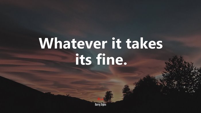 Whatever it takes its fine. | Harry Styles quote