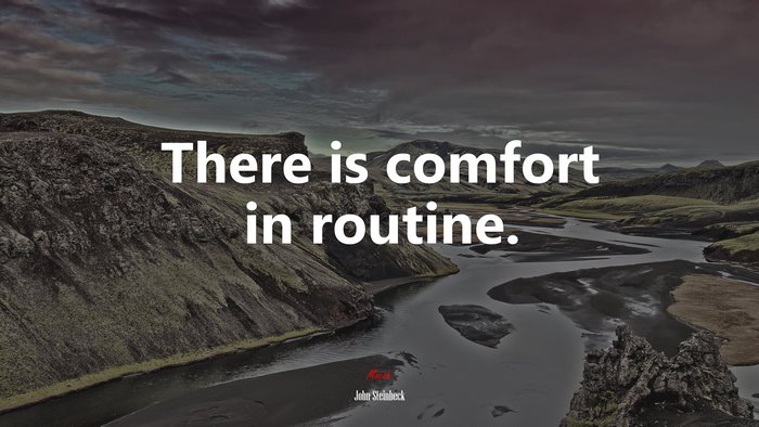 There is comfort in routine. | John Steinbeck quote