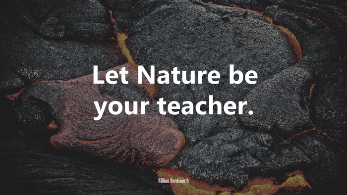 Let Nature be your teacher. | William Wordsworth quote