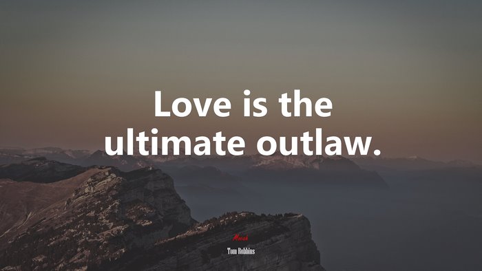 Love is the ultimate outlaw. | Tom Robbins quote
