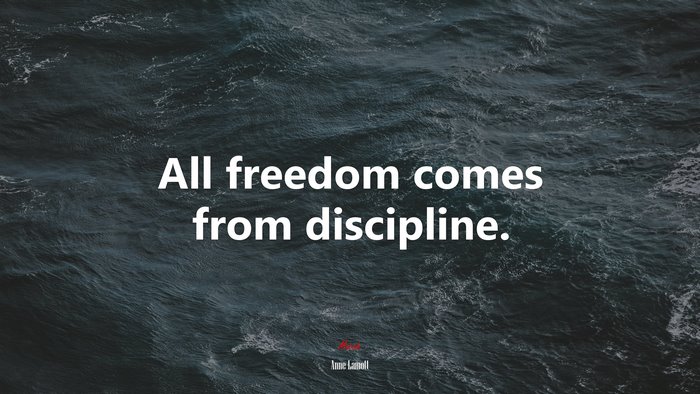 All freedom comes from discipline. | Anne Lamott quote