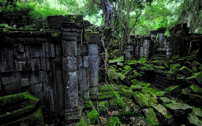 Ancient stone ruins overgrown with moss and trees