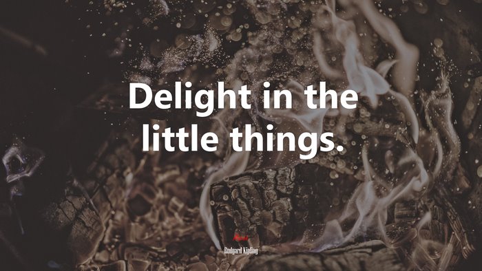 Delight in the little things. | Rudyard Kipling quote