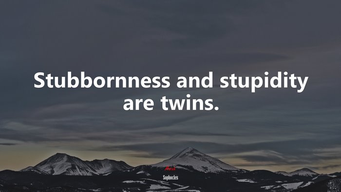 Stubbornness and stupidity are twins. | Sophocles quote