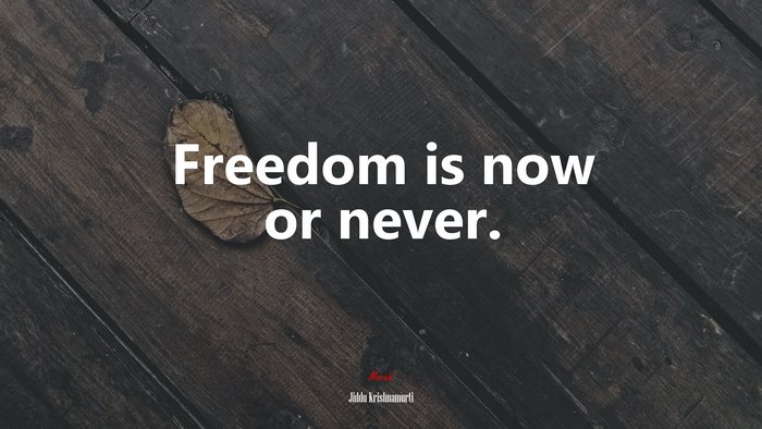 Freedom is now or never. | Jiddu Krishnamurti quote