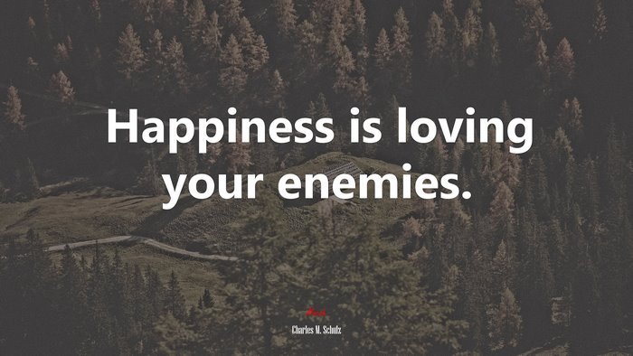Happiness is loving your enemies. | Charles M. Schulz quote