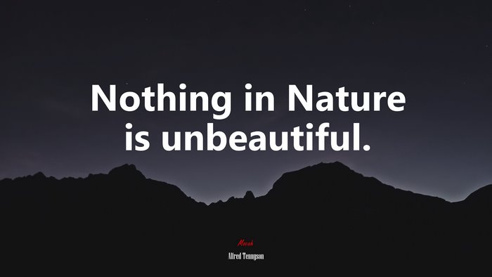 Nothing in Nature is unbeautiful. | Alfred Tennyson quote