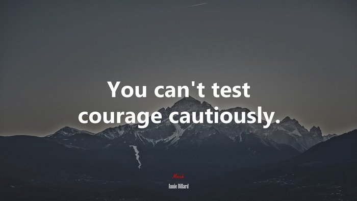 You can’t test courage cautiously. | Annie Dillard quote