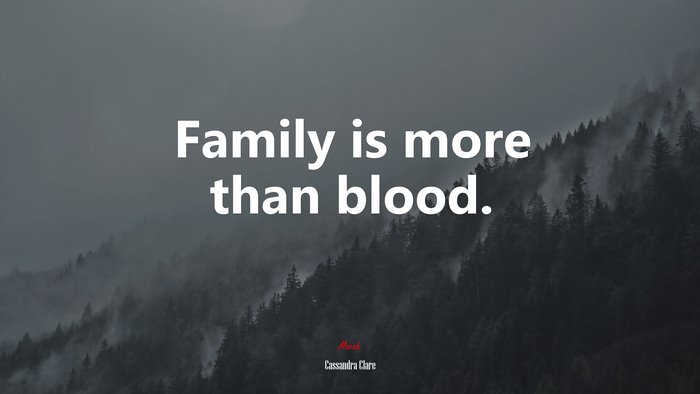 Family is more than blood. | Cassandra Clare quote