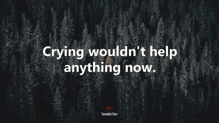 Crying wouldn’t help anything now. | Cassandra Clare quote