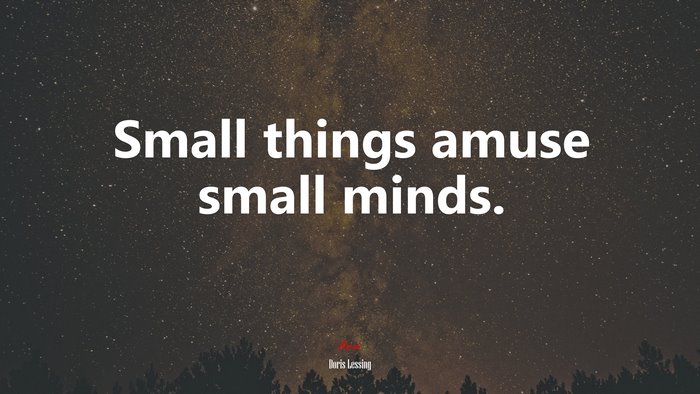Small things amuse small minds. | Doris Lessing quote