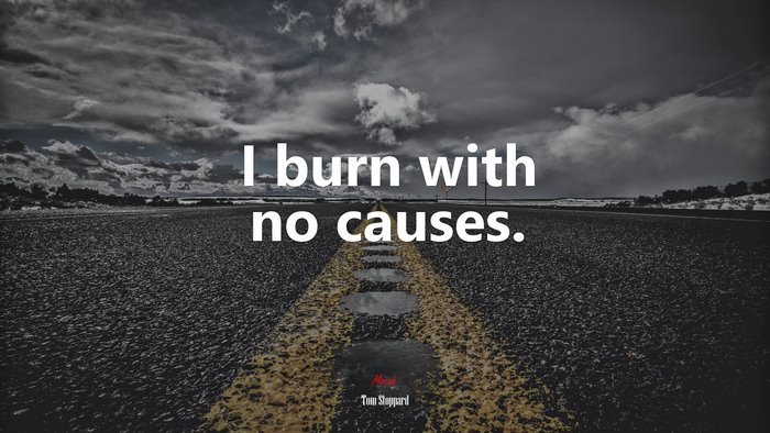 I burn with no causes. | Tom Stoppard quote