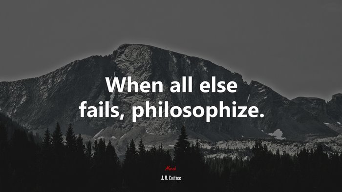 When all else fails, philosophize. | J. M. Coetzee quote