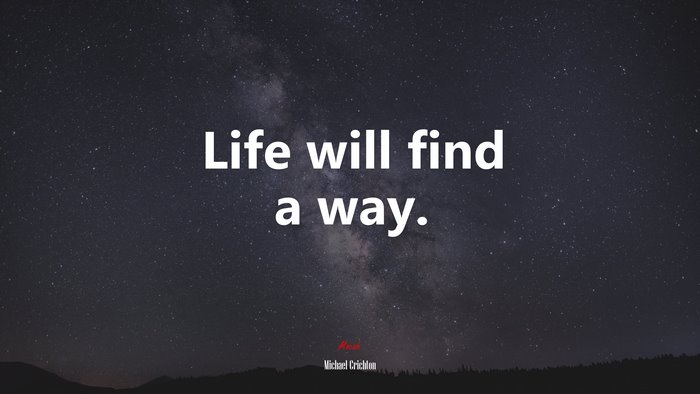 Life will find a way. | Michael Crichton quote