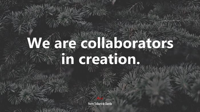 We are collaborators in creation. | Pierre Teilhard de Chardin quote