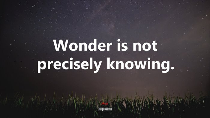 Wonder is not precisely knowing. | Emily Dickinson quote